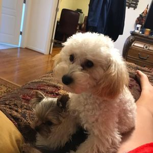 Meet your Posher, Tina